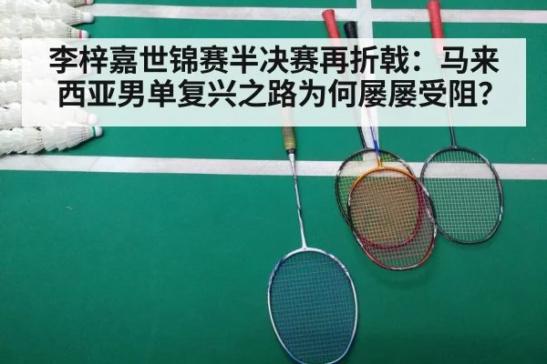Malaysia badminton match